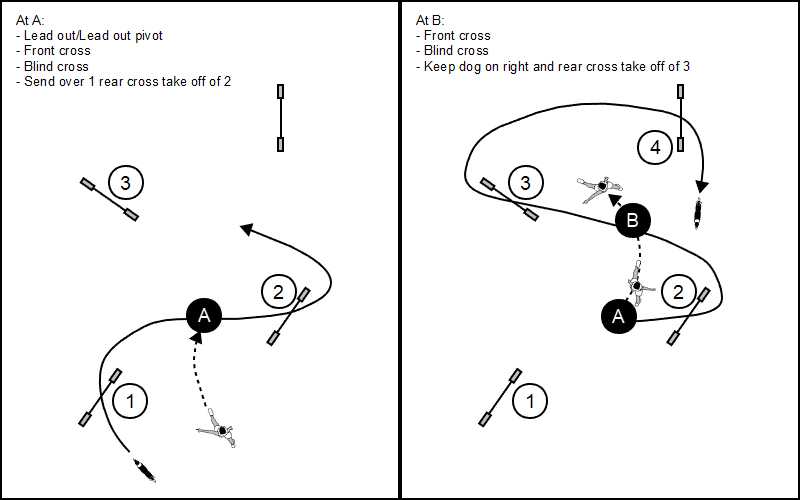 Forced Front Cross - Agility Handling Technique