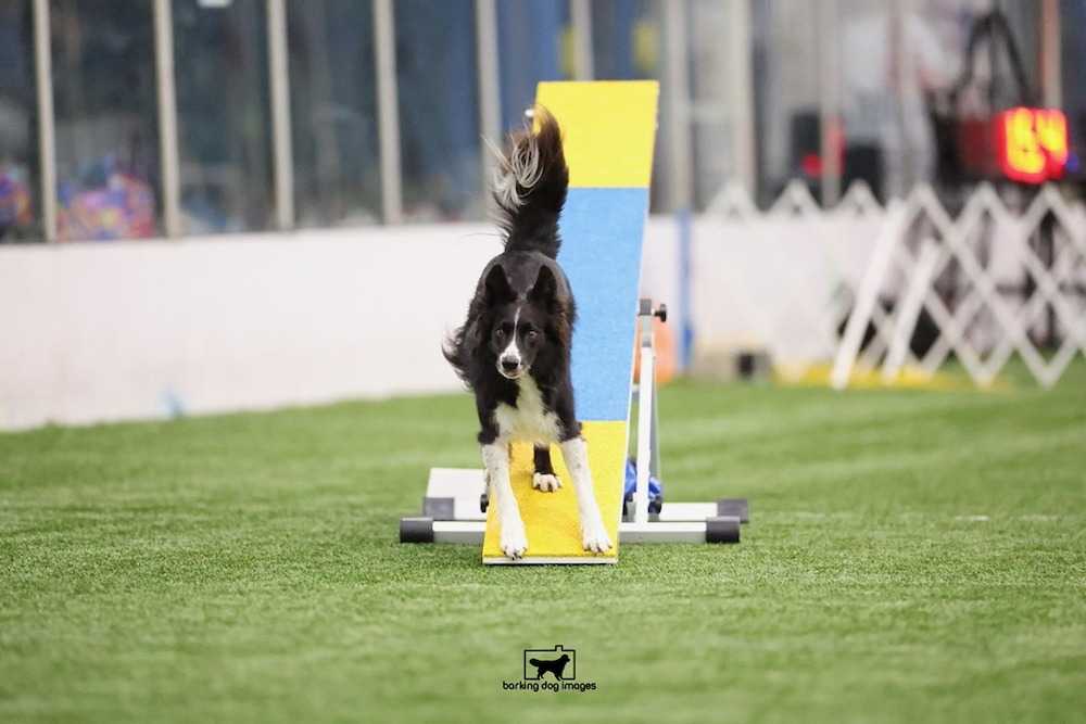 tag cloud of all blog subjects