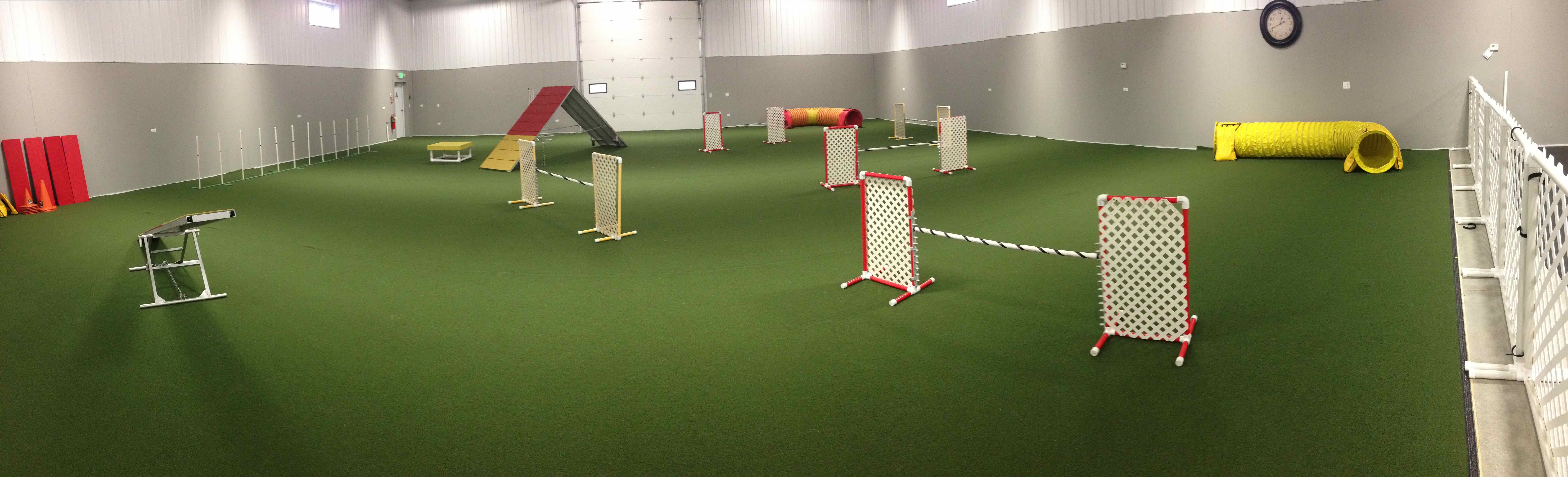 Top Spin | AgilityNerd