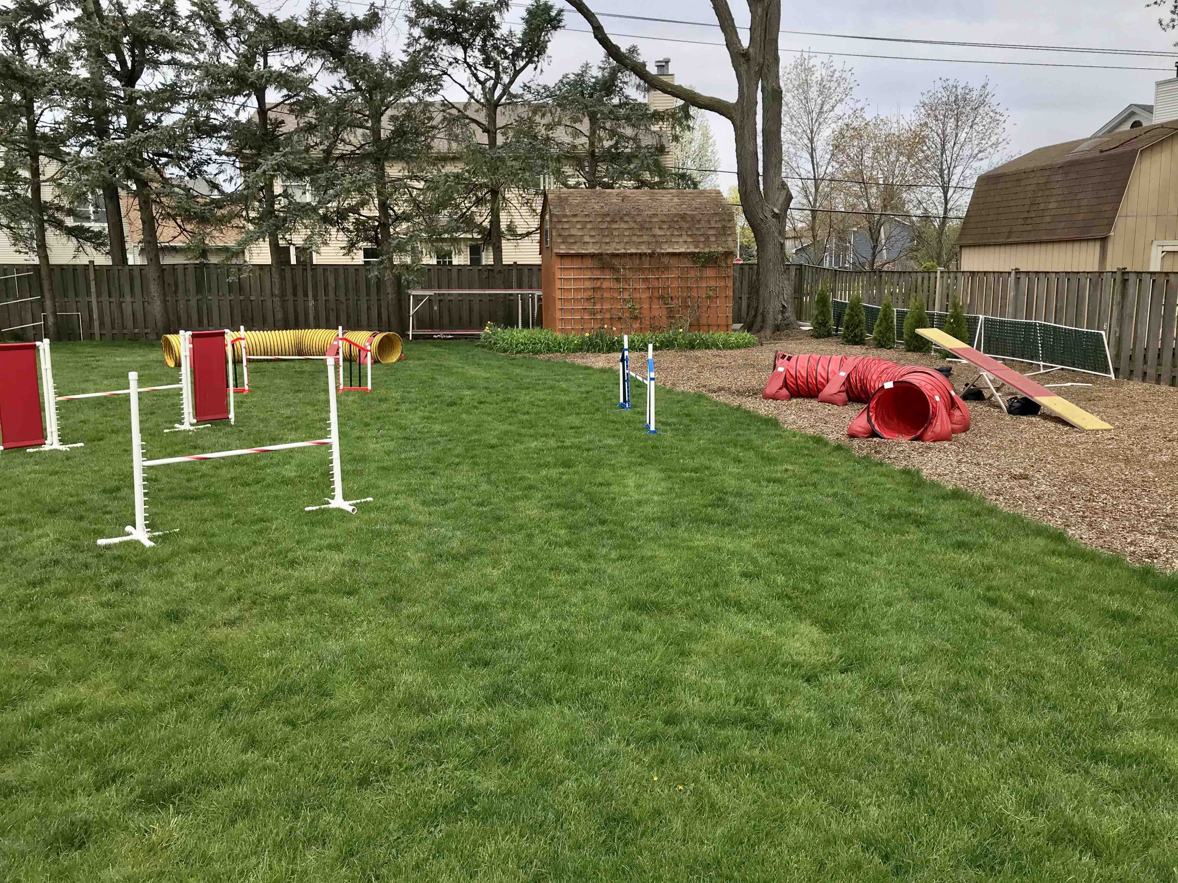 Simple Backyard Obstacle Course For Your Dog - May 20, 2021