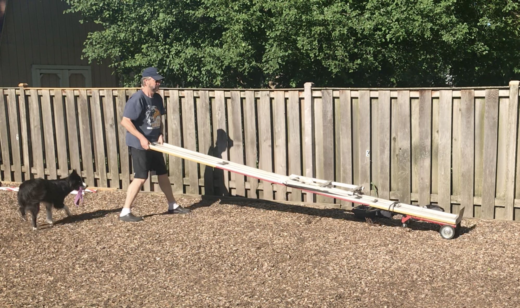 How to Make a DIY Dog Obstacle Course at Home